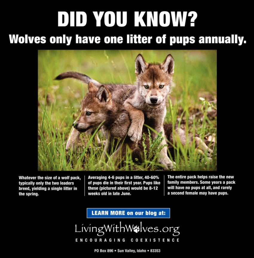 Did You Know?, Living With Wolves, Sun Valley, ID